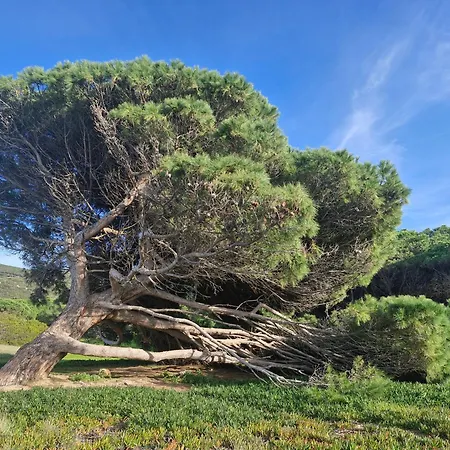 Vos A 3 Minutes De La Lägenhet *