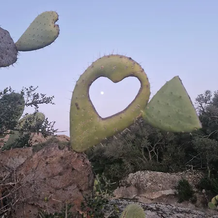 Vos A 3 Minutes De La * Belgodère